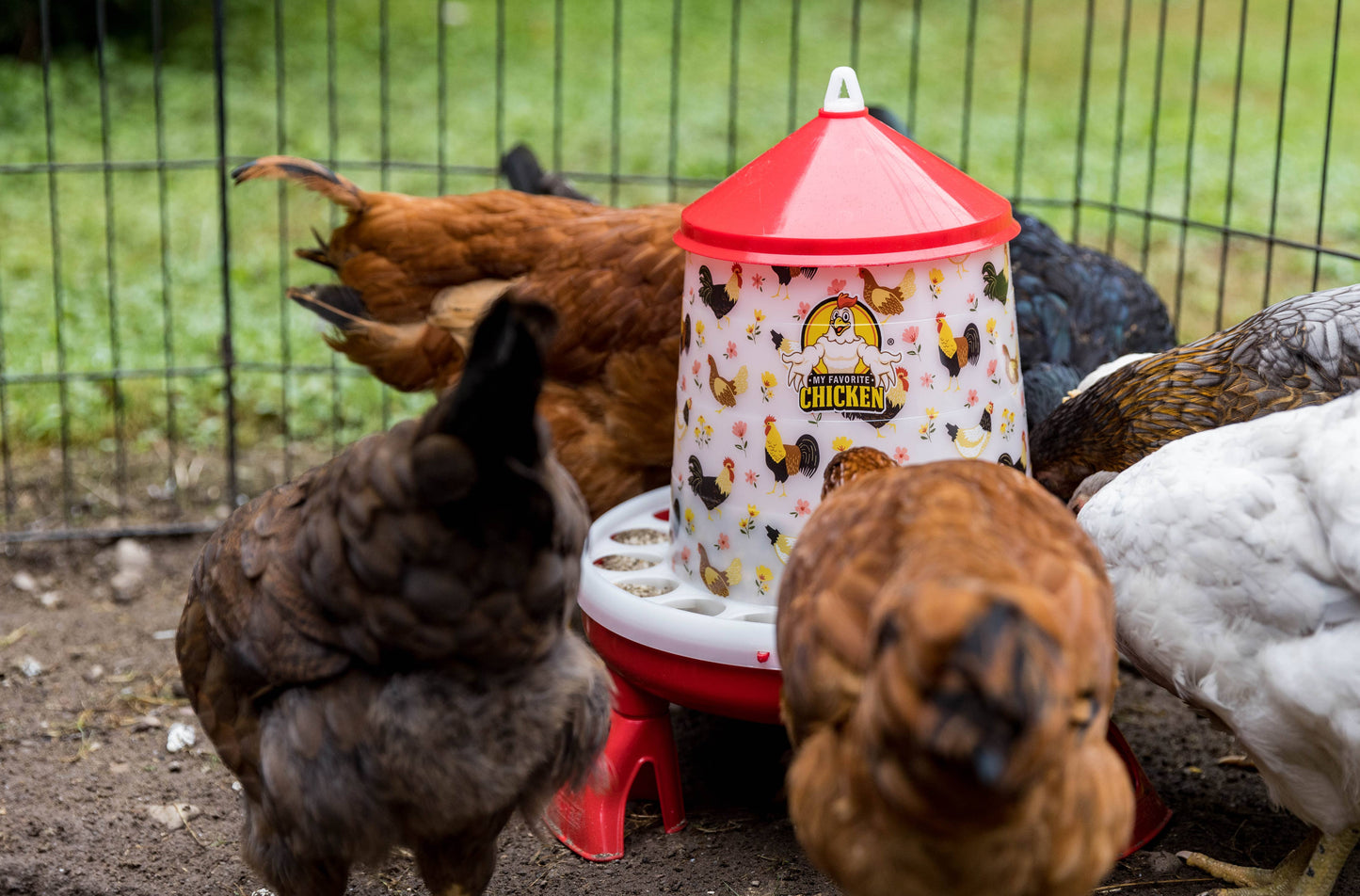 4Kg Poultry Feeder w/ Legs, Stylish Chicken Floral Design