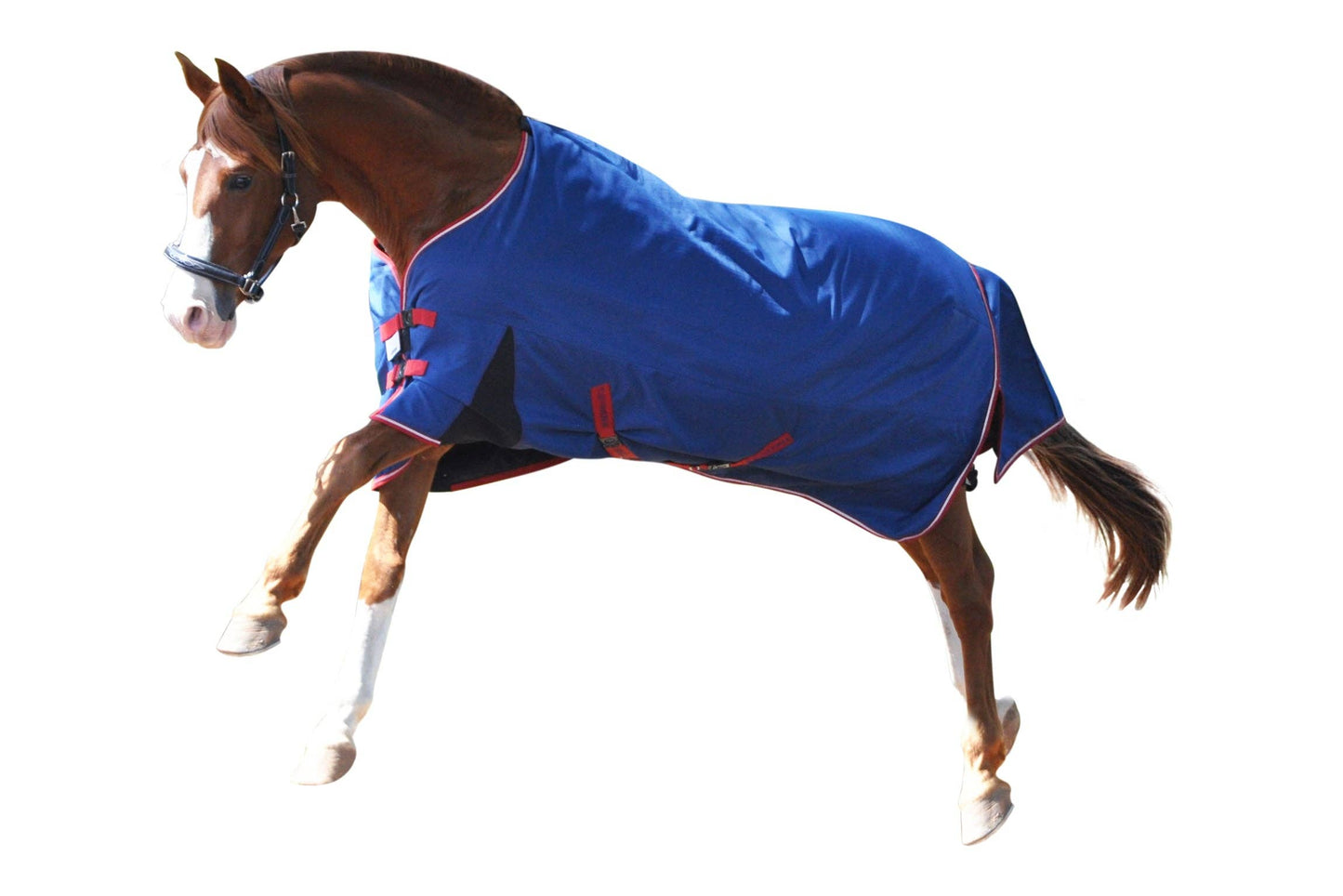 TuffRider Bonum 1200D Ripstop 100 GMS Standard Blanket