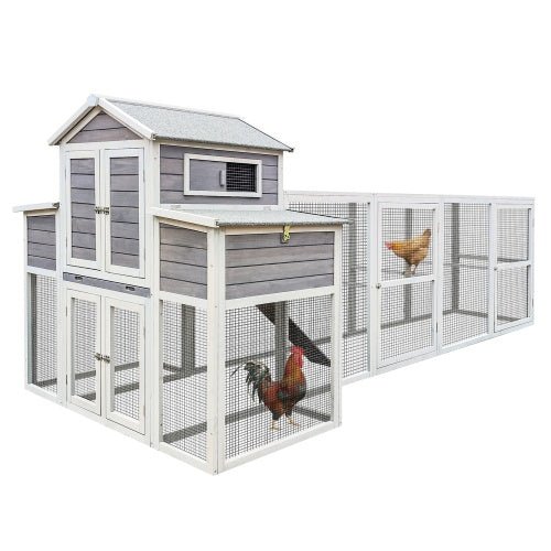 Chicken Coop with 2 Nest Boxes, 5 Perches