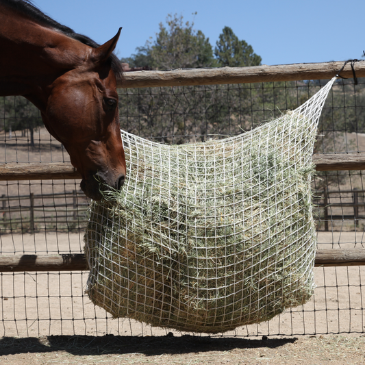 Slow Feed - Extended Day Net Freedom Feeder - Capacity: 2 String Bale