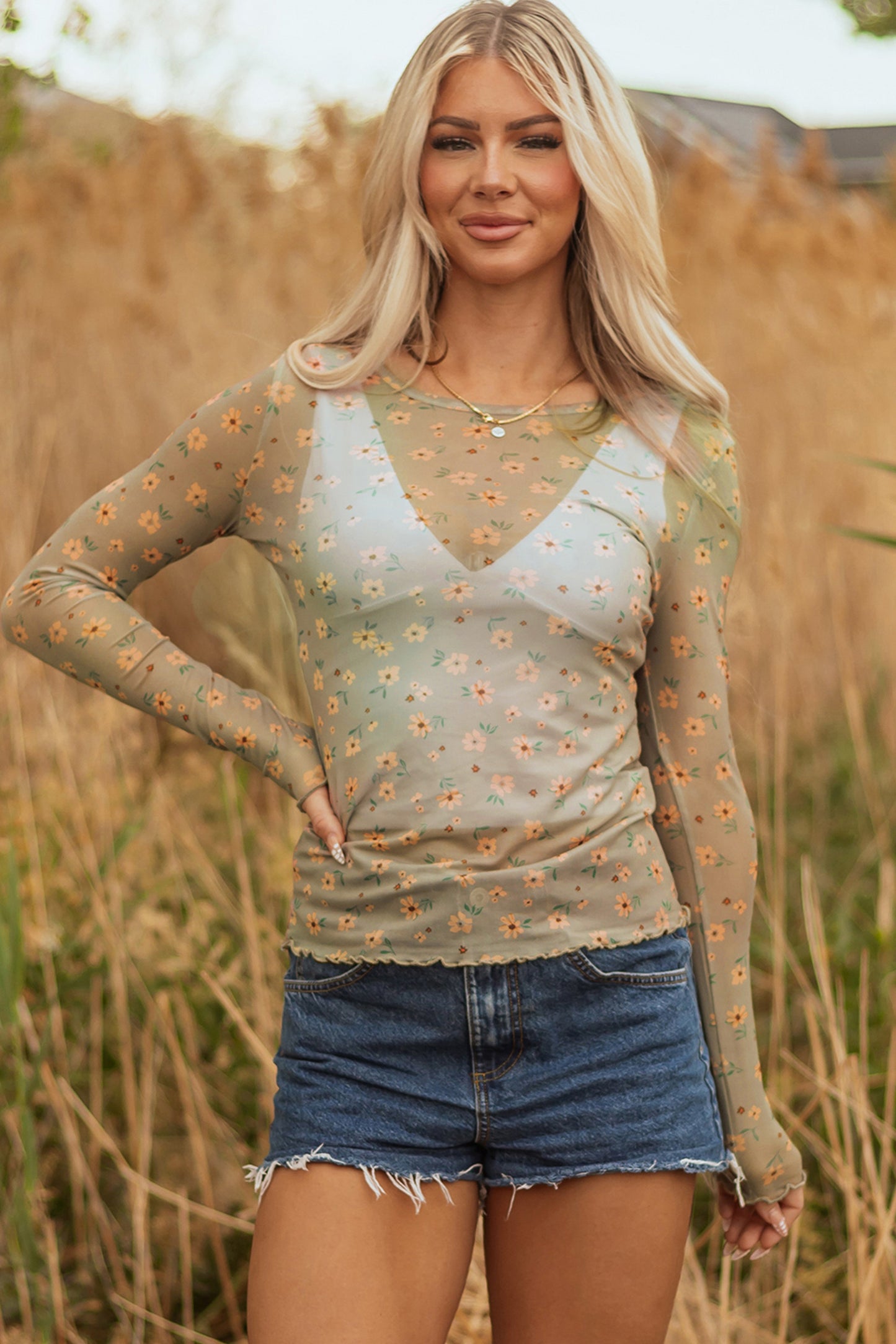 Sky Blue Vintage Floral Print Southern Style Mesh Long Sleeve Top