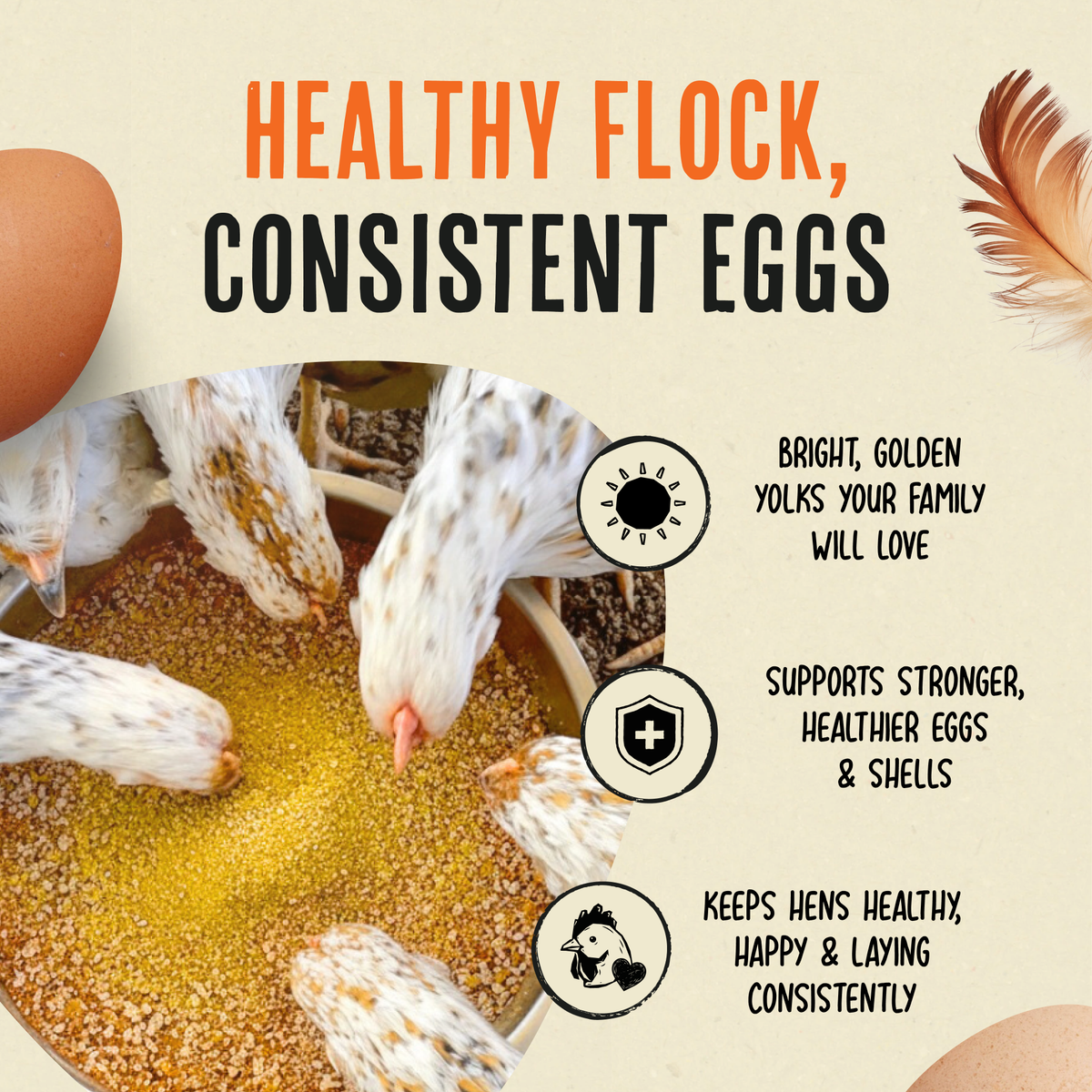 Gold Dust | Daily Egg Booster for Poultry | Vet approved