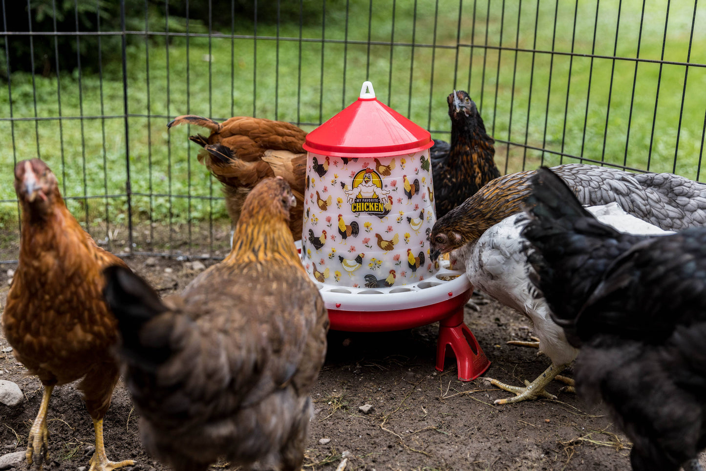 4Kg Poultry Feeder w/ Legs, Stylish Chicken Floral Design