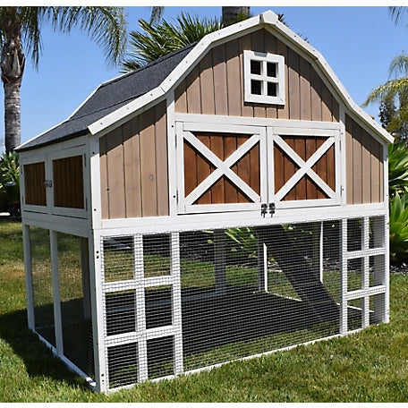 Omaha Chicken Coop