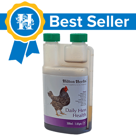 Hilton Herbs Daily Hen Health for Poultry & Birds, 1pnt