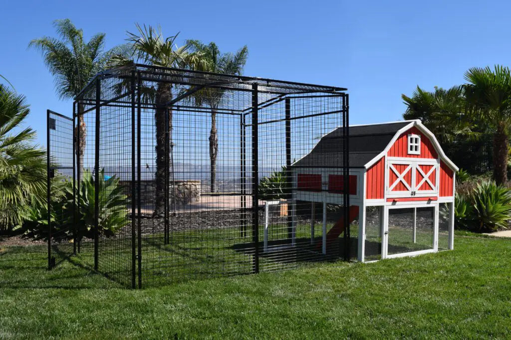 Omaha Chicken Coop