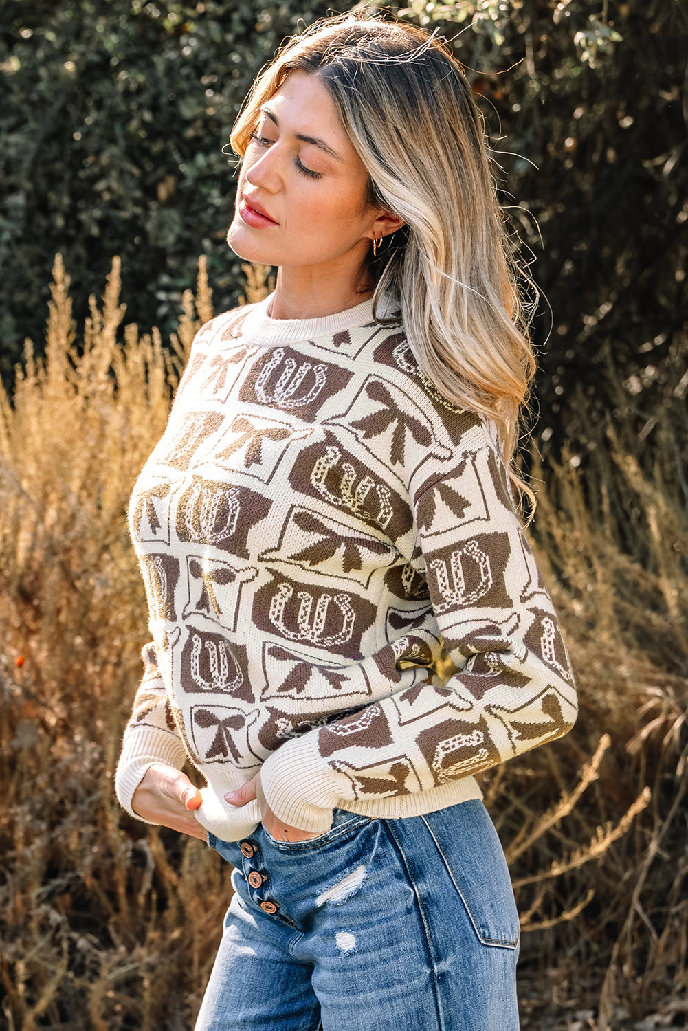 Pink Bows & Horseshoes Pattern Western Fashion Print Sweater