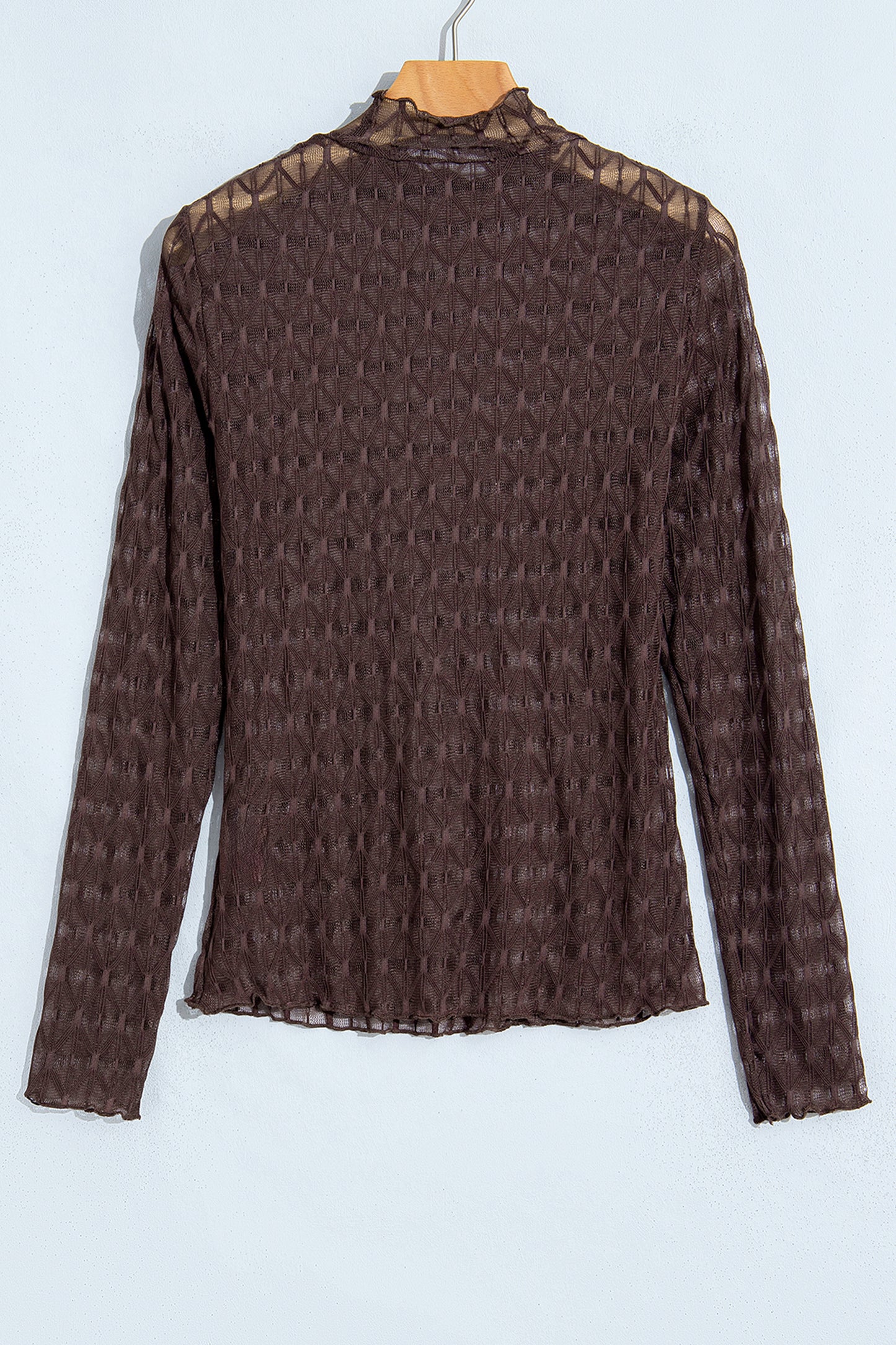 Chicory Coffee Sheer Textured Lace Stand Neck Long Sleeve Top
