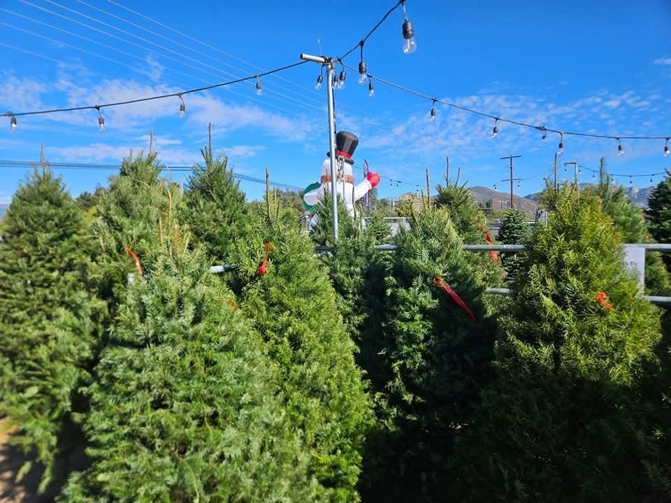 Adopt-A-Tree Donations