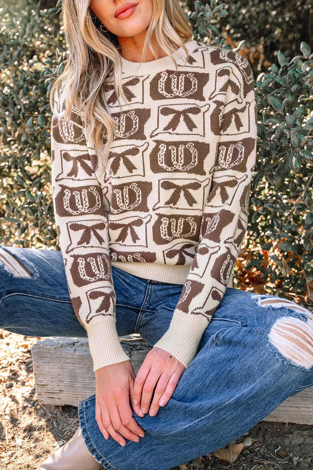Pink Bows & Horseshoes Pattern Western Fashion Print Sweater