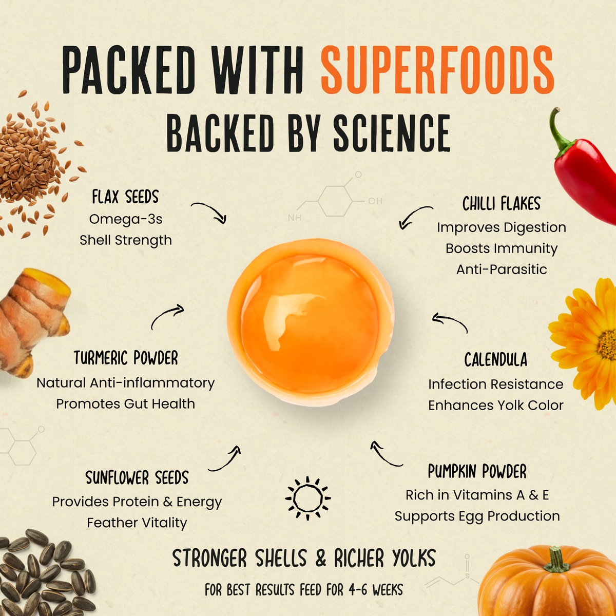Gold Dust | Daily Egg Booster for Poultry | Vet approved