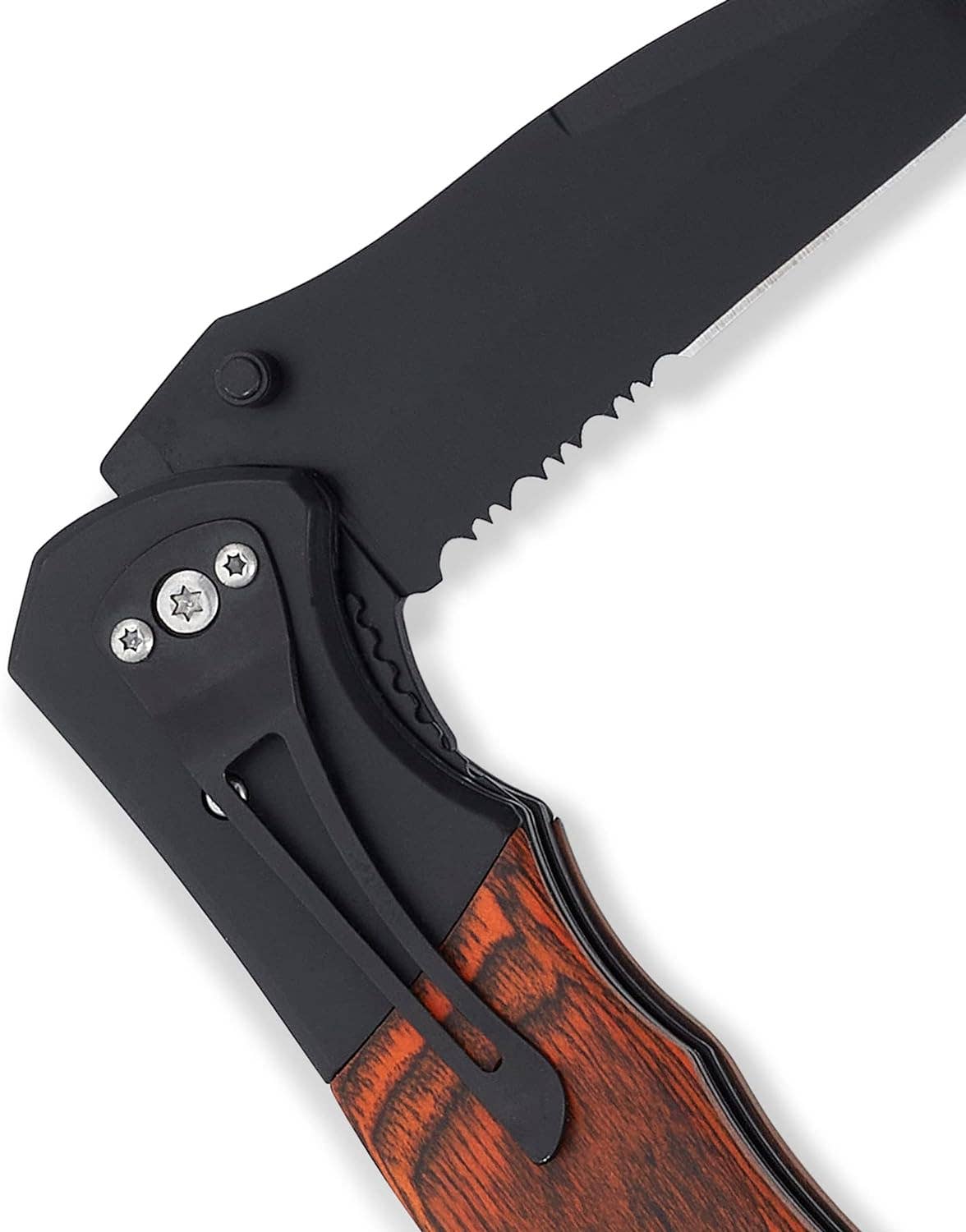 Pocket Knife - "The Beast"