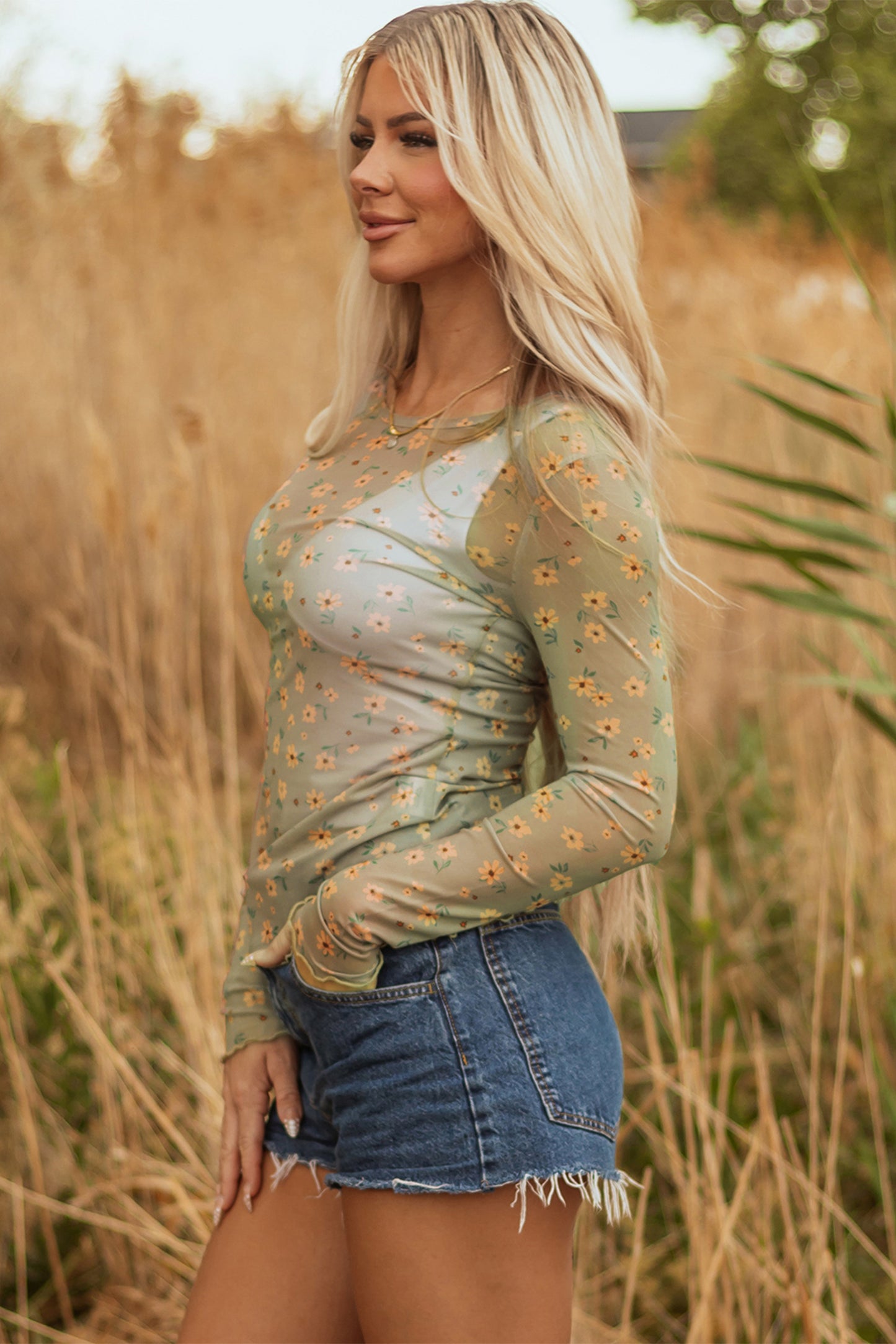 Sky Blue Vintage Floral Print Southern Style Mesh Long Sleeve Top