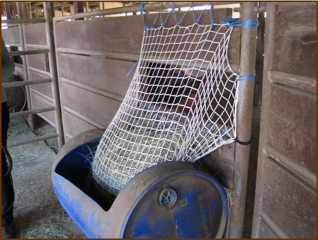 Slow Feed - Extended Day Net Freedom Feeder - Capacity: 2 String Bale
