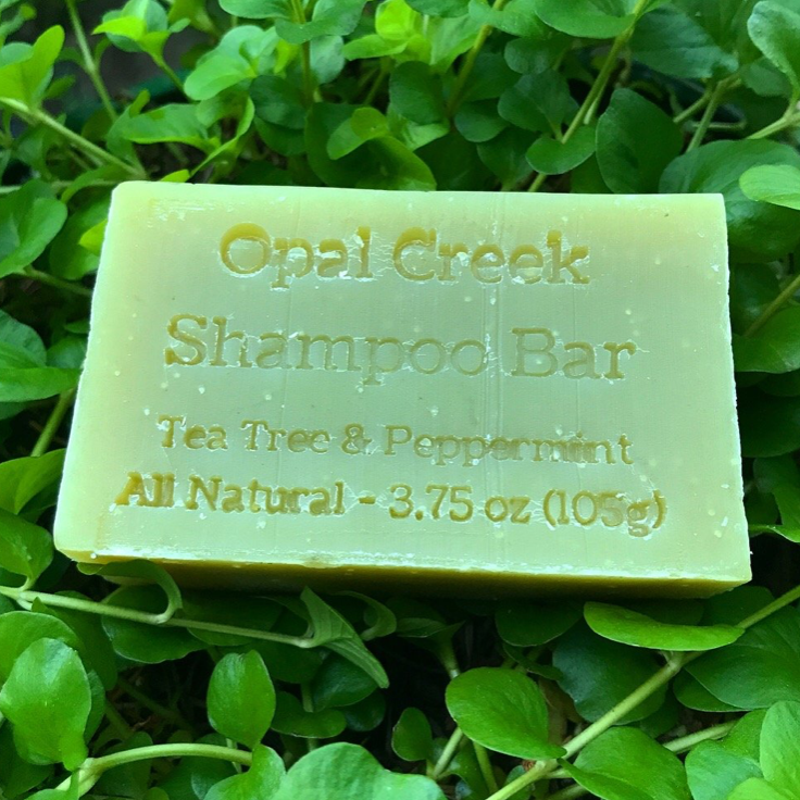 Shampoo Bars