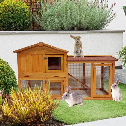 Playground Chicken Coop