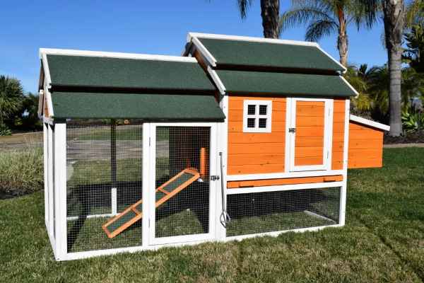 Cheyenne Chicken Coop