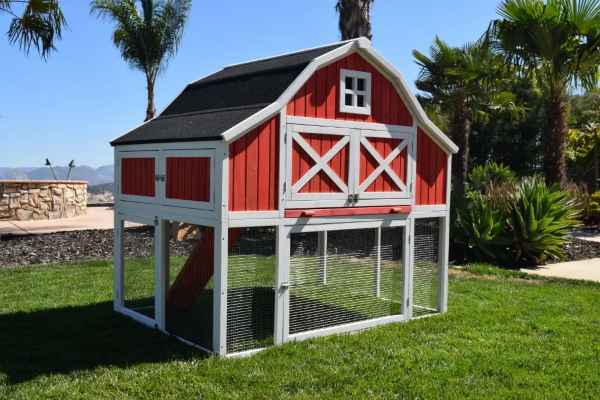 Omaha Chicken Coop