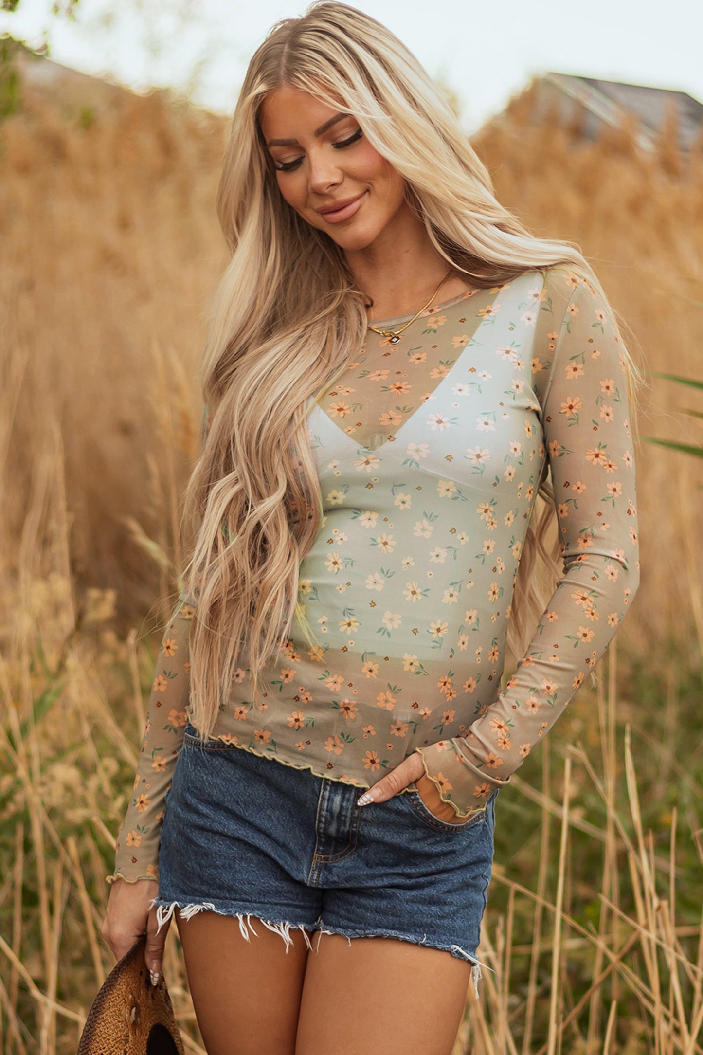 Sky Blue Vintage Floral Print Southern Style Mesh Long Sleeve Top