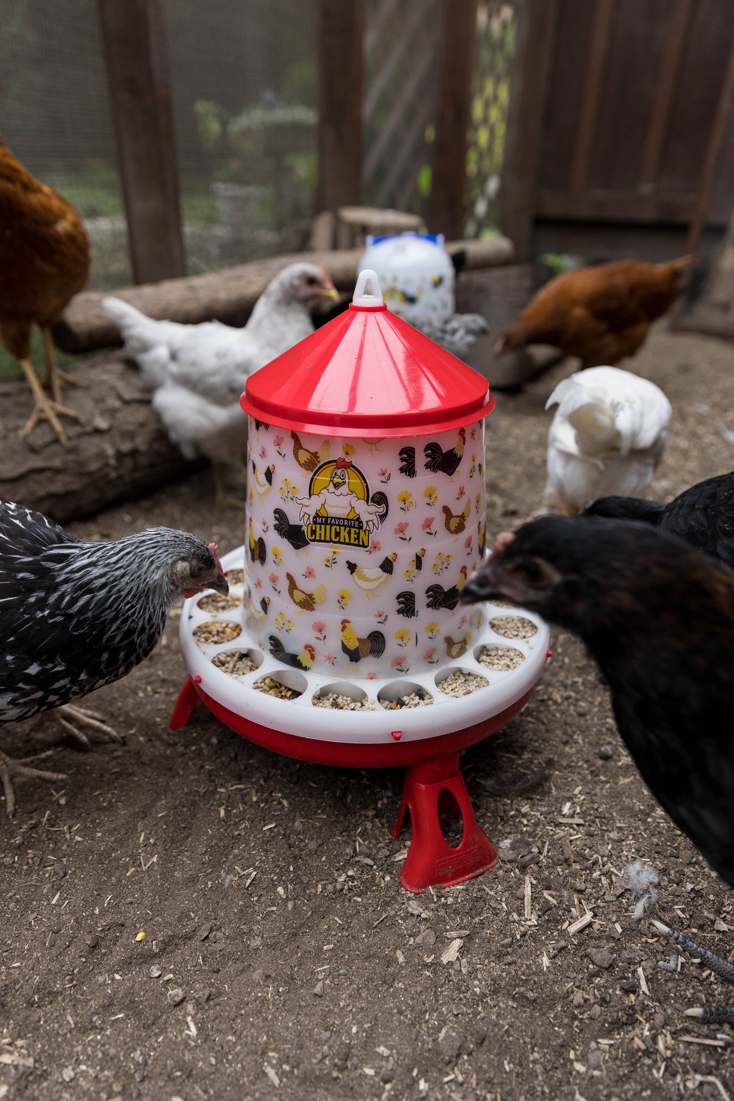 4Kg Poultry Feeder w/ Legs, Stylish Chicken Floral Design