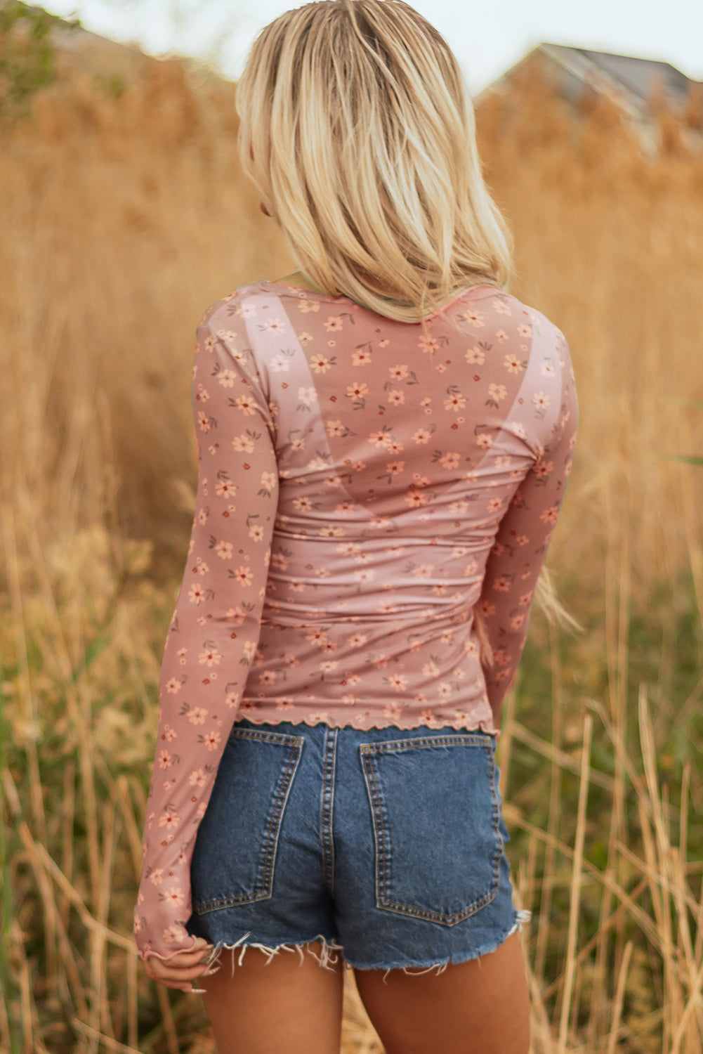 Sky Blue Vintage Floral Print Southern Style Mesh Long Sleeve Top