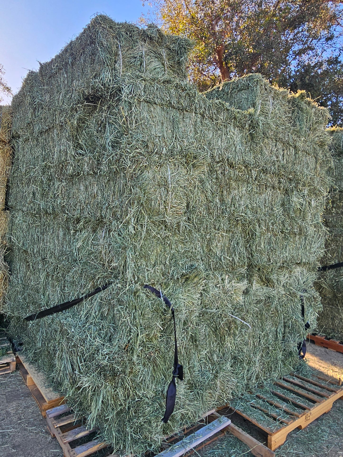 HAY BALES